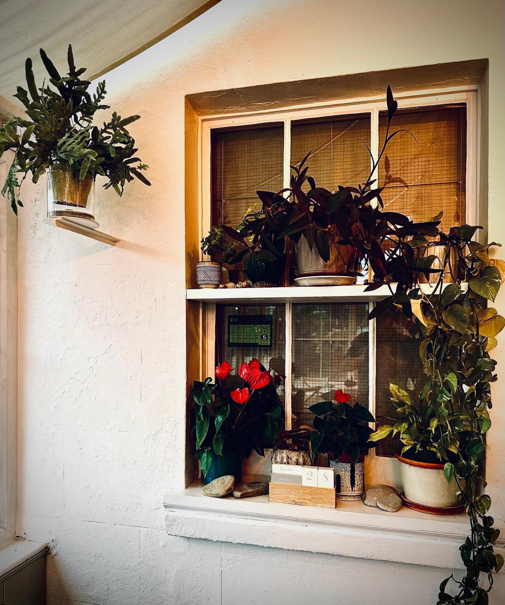 The Laindons Bed & Breakfast Hastings Exterior photo